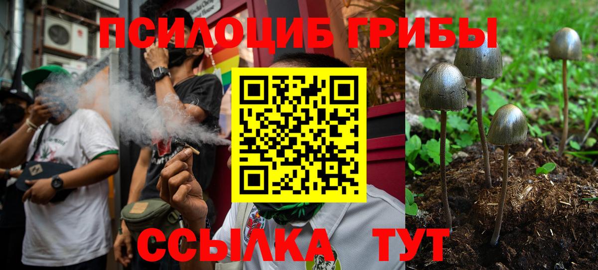 Галлюциногенные грибы мицелий Шали